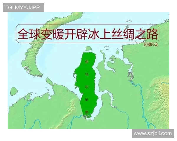 亚马尔地区的能源战略与全球气候变化的互动关系研究