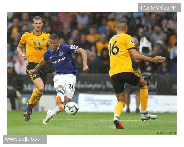 狼队与埃弗顿精彩对决全场录像回放分析与精彩瞬间回顾